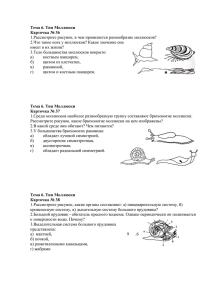 1.Рассмотрите рисунок, в чем проявляется разнообразие моллюсков? Тема 6. Тип Моллюски
