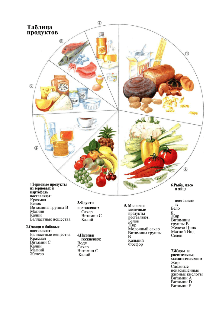 Как Подразделяются Диеты По Преобладанию Пищевых Веществ