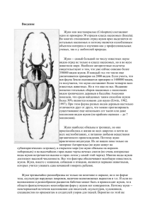 Введение Жуки или жесткокрылые (Coleoptera) составляют