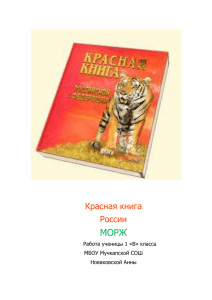 Красная книга России МОРЖ Работа ученицы 1 «В» класса