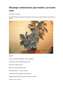 Паспорт комнатных растений в детском саду