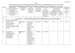 Таблица 10 Отчет об исполнении плана реализации
