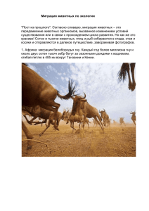 Миграция животных по экологии