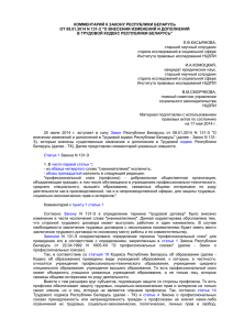 Комментарий к Закону Республики Беларусь от 08.01.2014 N 131-З
