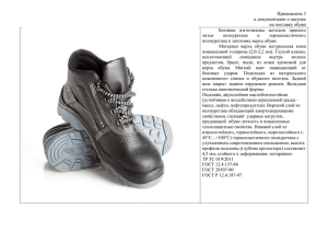 Приложение 3 к документации о закупке на поставку обуви