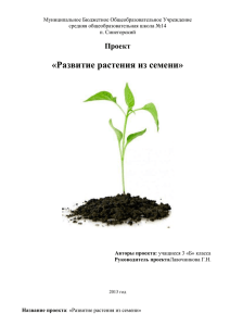 проект \"Развитие семени\" 2013 (140 КБ)