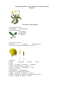 Проверочная работа по теме: «Органы цветковых растений» Вариант I Одуванчик лекарственный