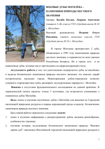 Вековые дубы Могилева — памятники природы и местного