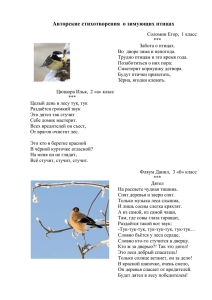 Авторские стихотворения о птицах