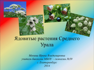 Ядовитые растения Среднего Урала