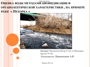Оценка воды методом биоиндекации , на примере реки « Пехорка