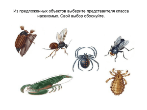Типы развития и многообразие насекомых