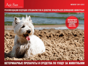 Слайд 1 - PetsProduct.ru