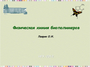 Физическая химия биополимеров НГУ-2012 Лаврик О.И. C