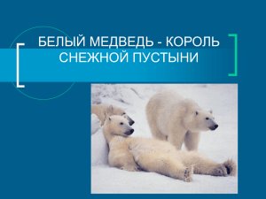 Белый Медведь - art.ioso.ru, 2010