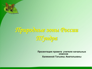 Природные зоны России Тундра Презентация проекта  учителя начальных классов