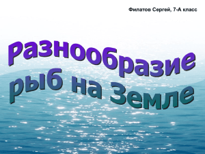 Рыбы пресных вод России