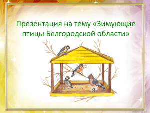 Презентация "Зимующие птицы Белгородской области"