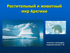 Разработка урока по географии "Арктика" (Т.Я. Сыромятникова)