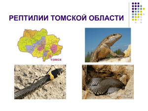 рептилии томской области