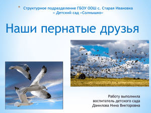 Презентация "Наши пернатые друзья" . (09.04.13г)