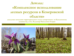 Комплексное использование лесных ресурсов в Кемеровской