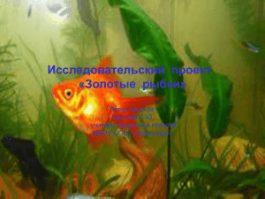 Исследовательский  проект «Золотые  рыбки» Автор проекта: Авилова С.Ю.
