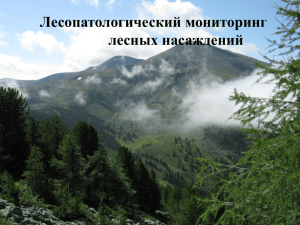 Слайд 1 - Алтайский Государственный Природный Биосферный