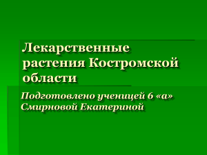 Лекарственные растения Костромской области Подготовлено ученицей 6 «а»