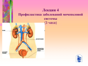 Лекция 4 Профилактика заболеваний мочеполовой системы (3 часа)