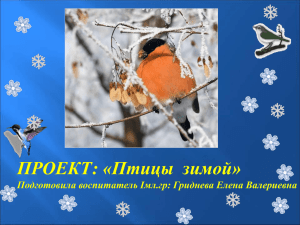 ПРОЕКТ: «Птицы  зимой» Подготовила воспитатель Iмл.гр: Гриднева Елена Валериевна