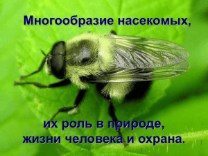 Многообразие насекомых, их роль в природе, жизни человека и