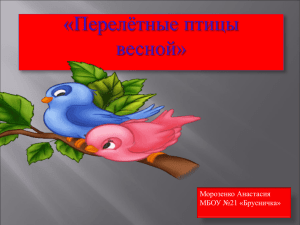 «Перелётные птицы весной» Морозенко Анастасия МБОУ №21 «Брусничка»