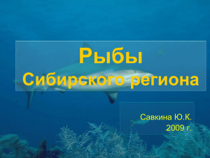 Рыбы Сибирского реги…