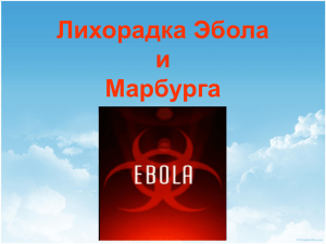 Лихорадка Эбола и Марбурга Геморрагическая лихорадка Эбо́ла