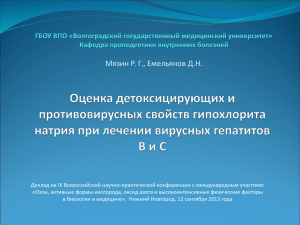 Презентация доклада в Н.Новгороде 12.09.13