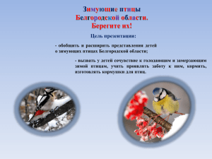 Презентация "Зимующие птицы Белгорода"