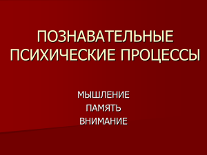 ПОЗНАВАТЕЛЬНЫЕ ПСИХИЧЕСКИЕ ПРОЦЕССЫ_2