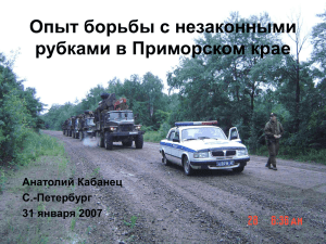 Опыт борьбы с незаконными рубками в Приморском крае, PPT