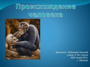 Выполнил: Любимцев Николай ученик 9 «Б» класса МОУ-лицей №21 г. Иваново