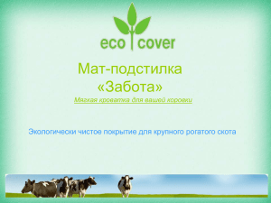 Мат-подстилка «Забота» Экологически чистое покрытие для крупного рогатого скота