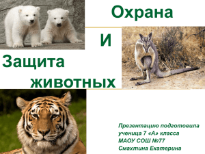 Охрана и защита животных - МАОУ СОШ № 77 г. Хабаровск