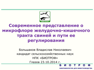 Современное представление о микрофлоре желудочно-кишечного тракта свиней и пути ее регулирования