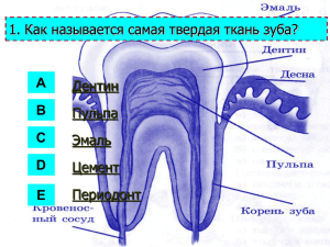 1. Как называется самая твердая ткань зуба? Дентин Пульпа Эмаль