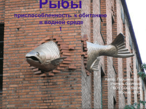 Рыбы приспособленность  к обитанию в водной среде 1