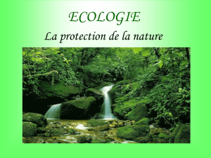 Экология-презентация