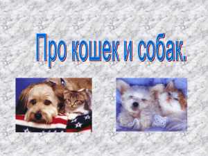 Уловкина Н.А. Презентация "Про кошек и собак"