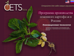 Программа производства семенного картофеля в России