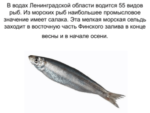 В водах Ленинградской области водится 55 видов