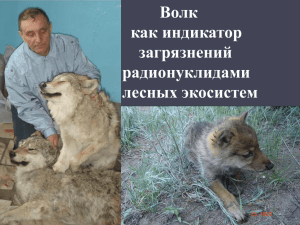 Волк в природопользовании Западной Сибири